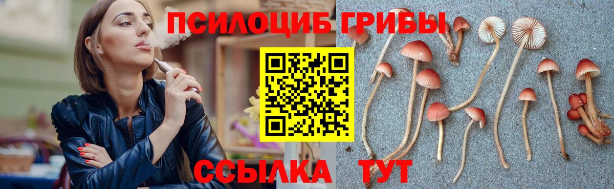 Галлюциногенные грибы Psilocybine cubensis Медногорск