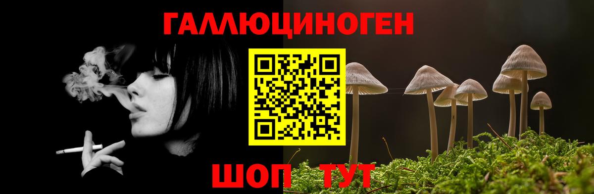 Медногорск  Галлюциногенные грибы мицелий  где продают   Вход с VPN 
